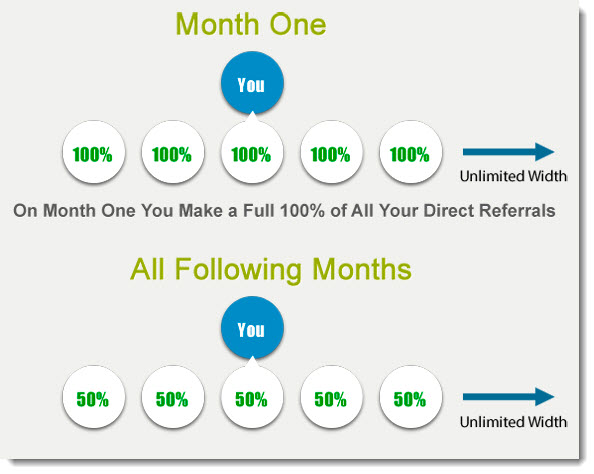 Pure Leverage Payment Structure