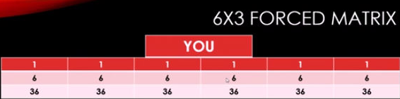 6x3 Forced Matrix